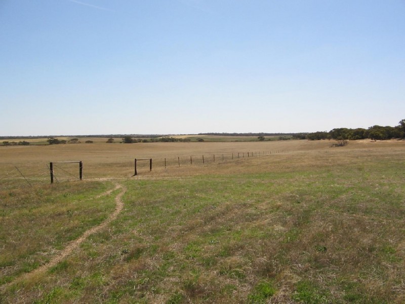 Lot 53 Mulpata Road, Lameroo SA 5302