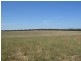 Lot 53 Mulpata Road, Lameroo SA 5302