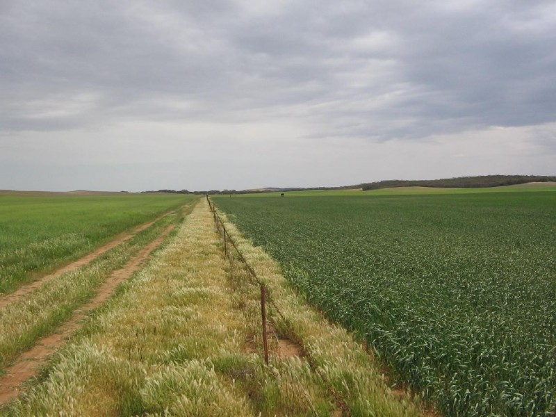 Lot 32 Lee Road, Lameroo SA 5302