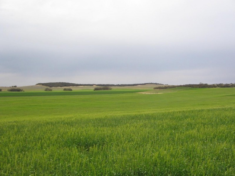 Lot 32 Lee Road, Lameroo SA 5302