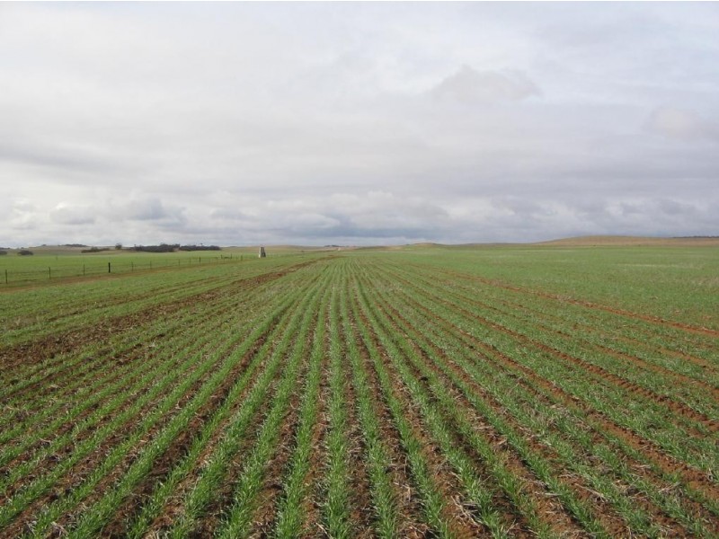 Lot 32 Lee Road, Lameroo SA 5302