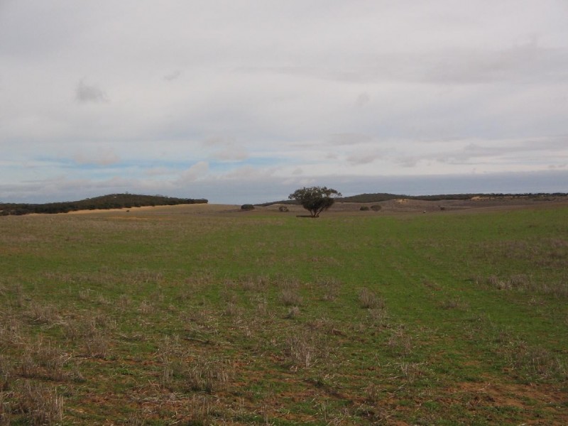 Lot 32 Lee Road, Lameroo SA 5302