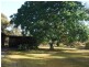 33 South Avenue, Bordertown SA 5268