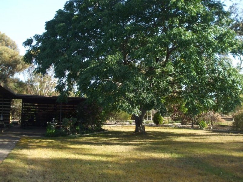 33 South Avenue, Bordertown SA 5268