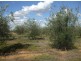 Sec 11 and 13 Karte West Road, Lameroo SA 5302