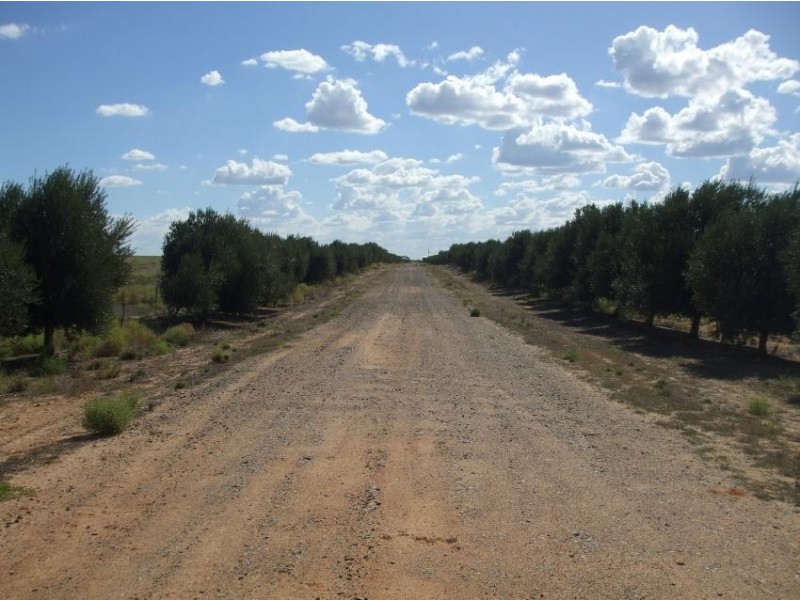 Sec 11 and 13 Karte West Road, Lameroo SA 5302