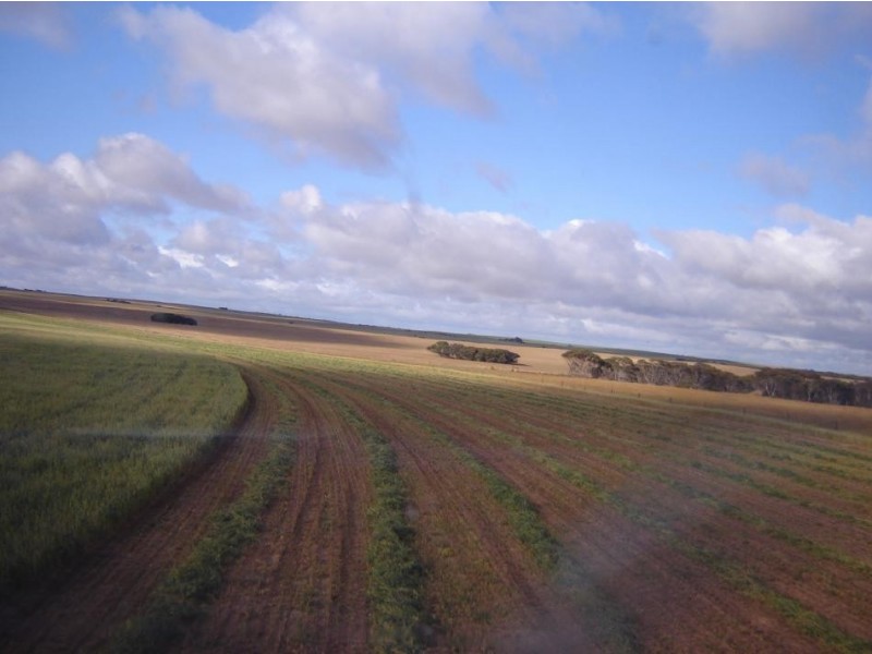 Pt Sec 30 Lameroo-Karoonda Road, Karoonda SA 5307