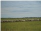 Pt Sec 30 Lameroo-Karoonda Road, Karoonda SA 5307