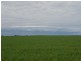Pt Sec 30 Lameroo-Karoonda Road, Karoonda SA 5307