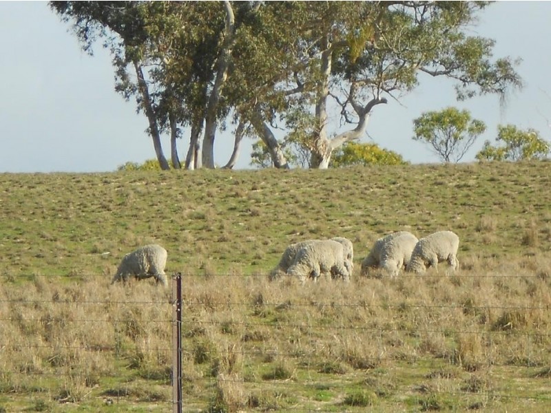 518 Emu Flat Road, Keith SA 5267