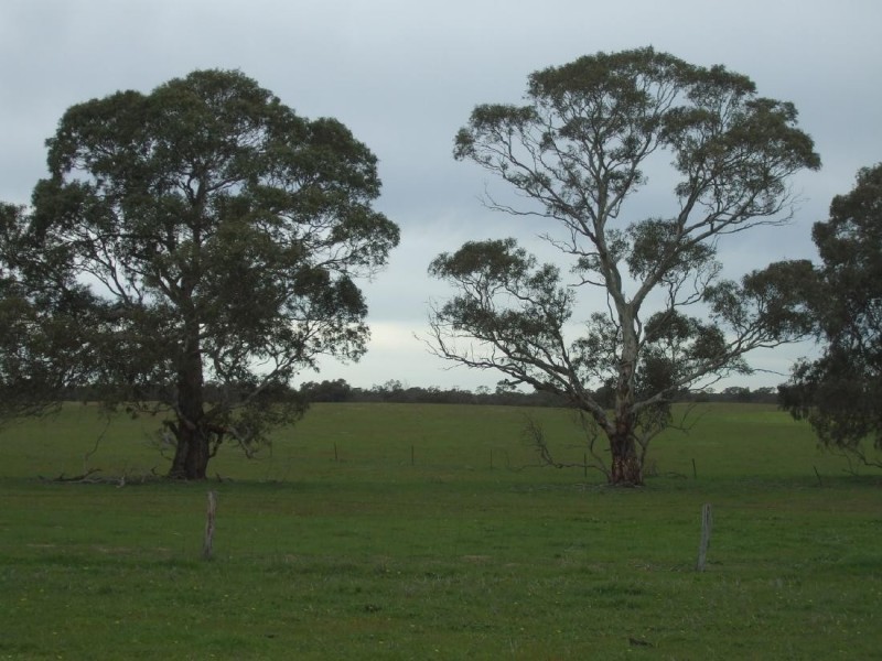 Lot 54 Obst’s Road, Mundulla SA 5270