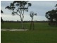 Lot 54 Obst’s Road, Mundulla SA 5270