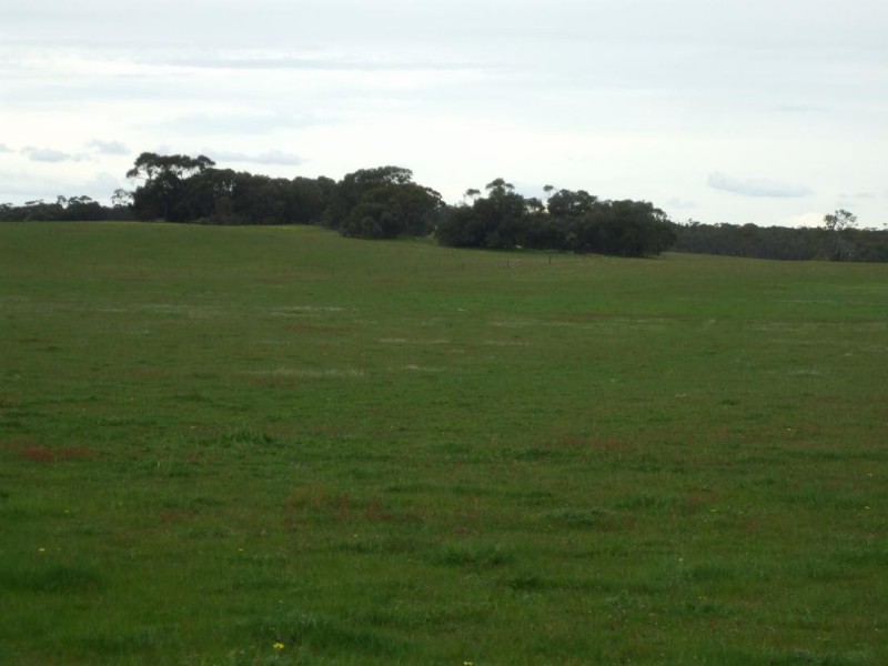 Lot 54 Obst’s Road, Mundulla SA 5270