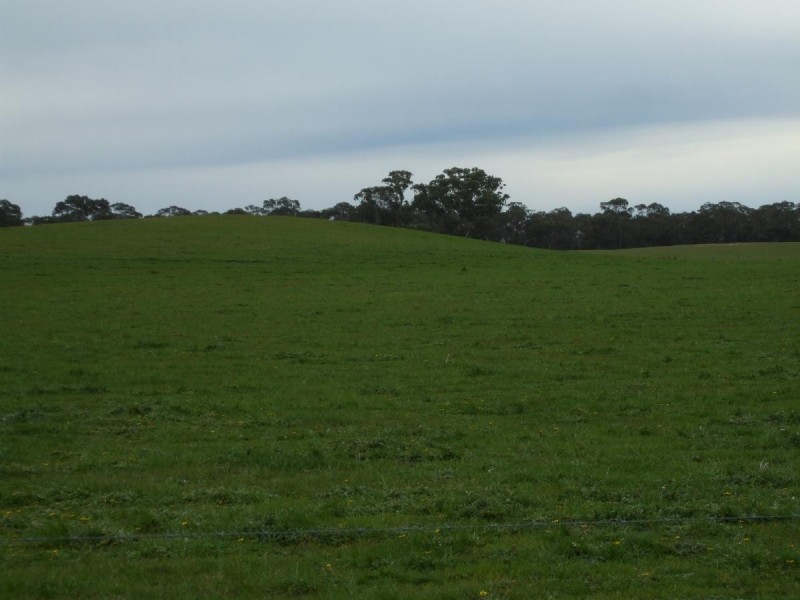 Lot 54 Obst’s Road, Mundulla SA 5270