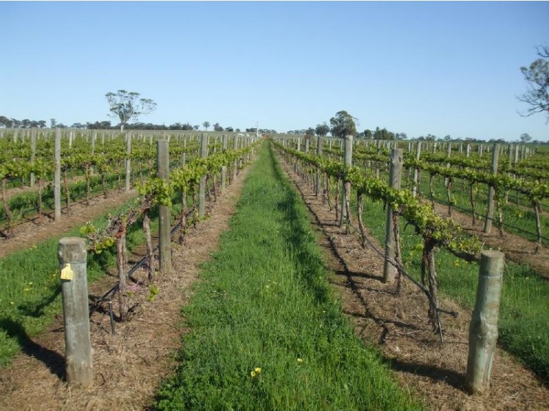 The Mile The Mile Lane, Mundulla SA 5270