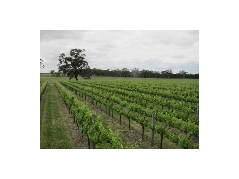 The Mile The Mile Lane, Mundulla SA 5270