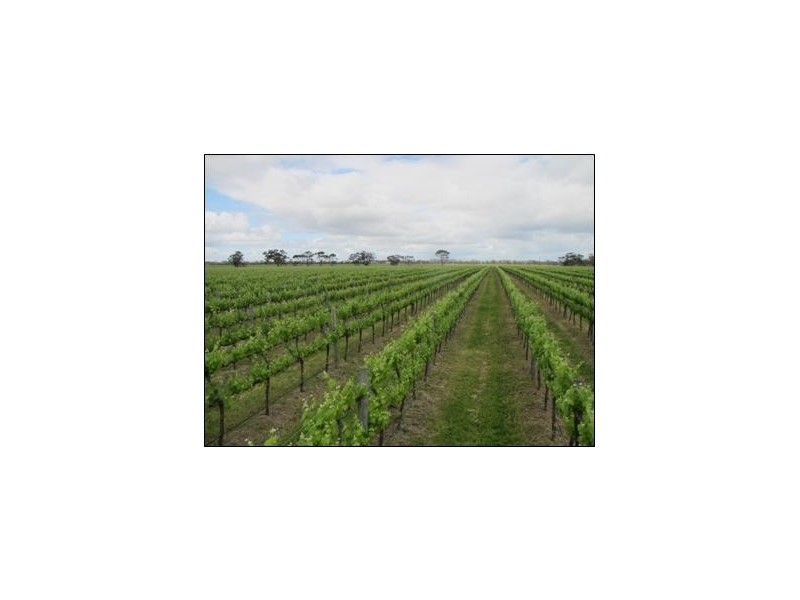 The Mile The Mile Lane, Mundulla SA 5270