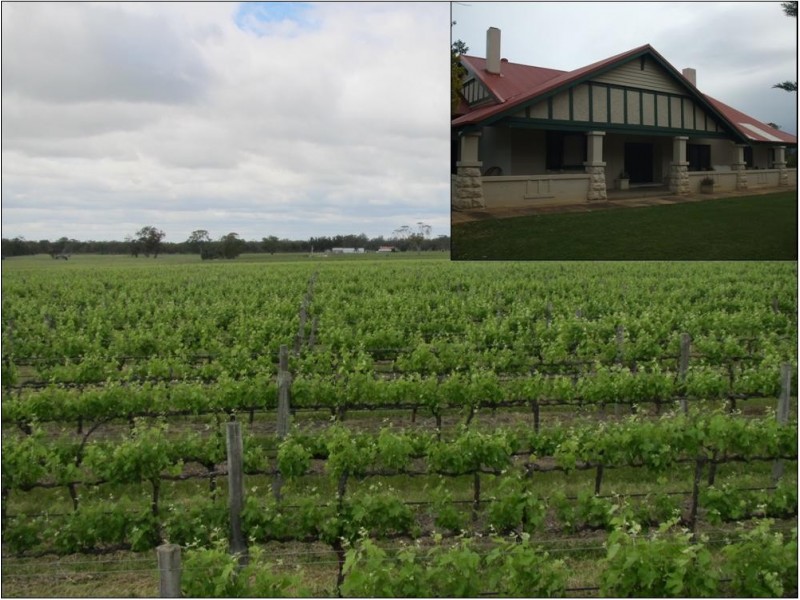 The Mile The Mile Lane, Mundulla SA 5270