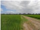 Lot 101 Finlayson Road, Bordertown SA 5268