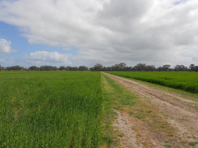 Lot 101 Finlayson Road, Bordertown SA 5268