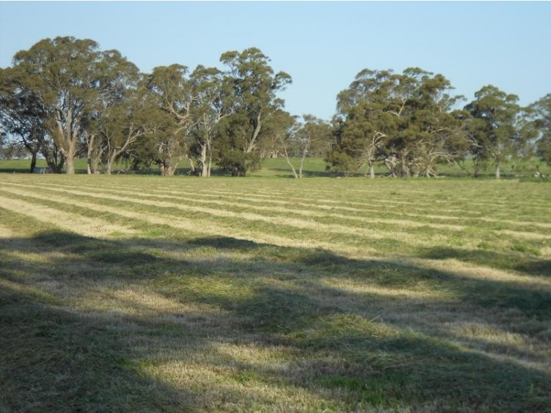 Lot 101 Finlayson Road, Bordertown SA 5268