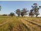 Lot 101 Finlayson Road, Bordertown SA 5268
