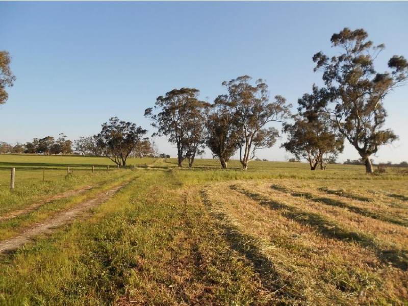 Lot 101 Finlayson Road, Bordertown SA 5268