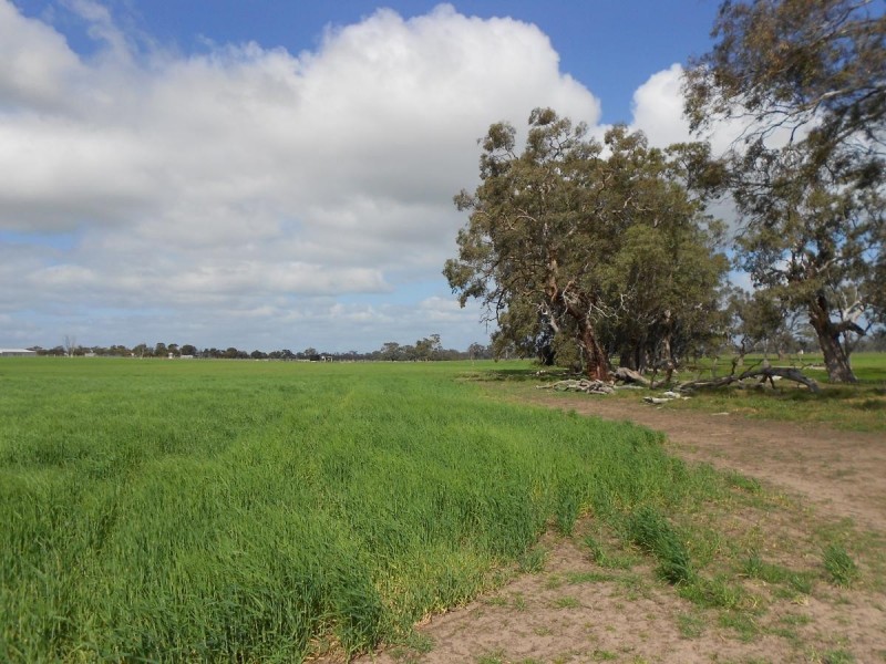 Lot 101 Finlayson Road, Bordertown SA 5268