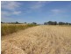 Lot 101 Finlayson Road, Bordertown SA 5268