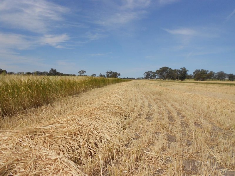 Lot 101 Finlayson Road, Bordertown SA 5268