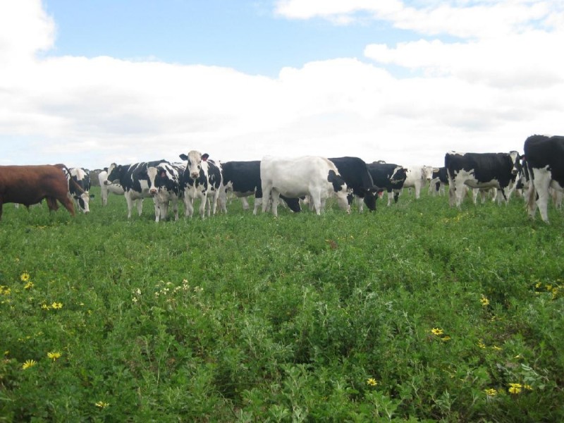 2836 Tauraget Well Road, Coonalpyn SA 5265