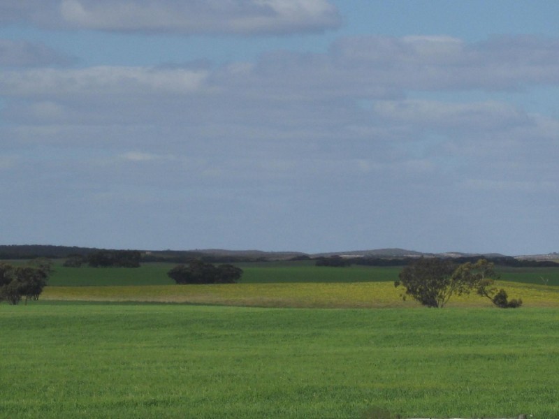 2836 Tauraget Well Road, Coonalpyn SA 5265