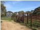 2836 Tauraget Well Road, Coonalpyn SA 5265