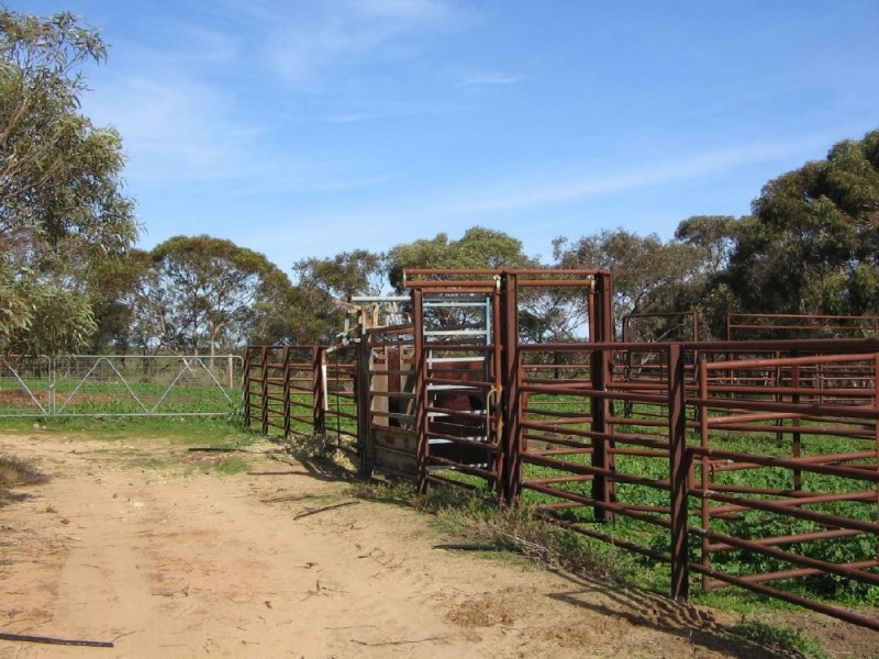 2836 Tauraget Well Road, Coonalpyn SA 5265