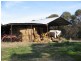 2836 Tauraget Well Road, Coonalpyn SA 5265
