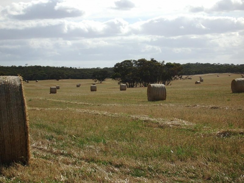 2836 Tauraget Well Road, Coonalpyn SA 5265