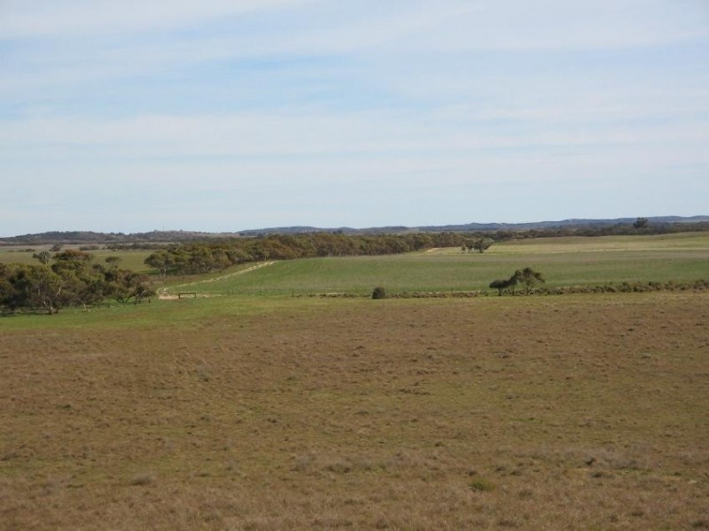 2836 Tauraget Well Road, Coonalpyn SA 5265