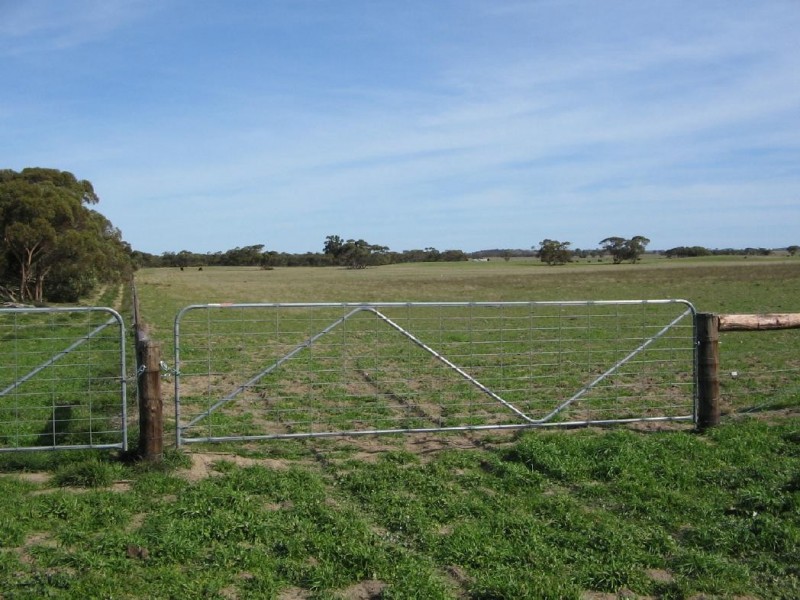 2836 Tauraget Well Road, Coonalpyn SA 5265