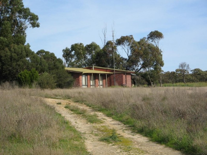 2836 Tauraget Well Road, Coonalpyn SA 5265