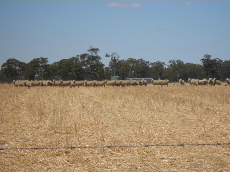 Lot 13 Punjum Road, Mundulla SA 5270