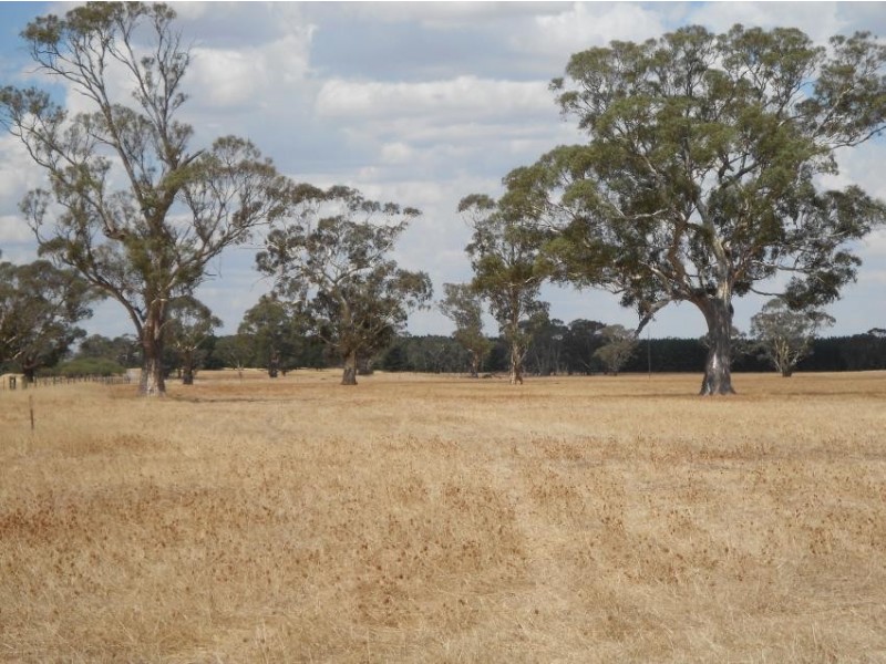 426 Cadell Road, Bordertown SA 5268