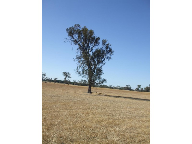 426 Cadell Road, Bordertown SA 5268