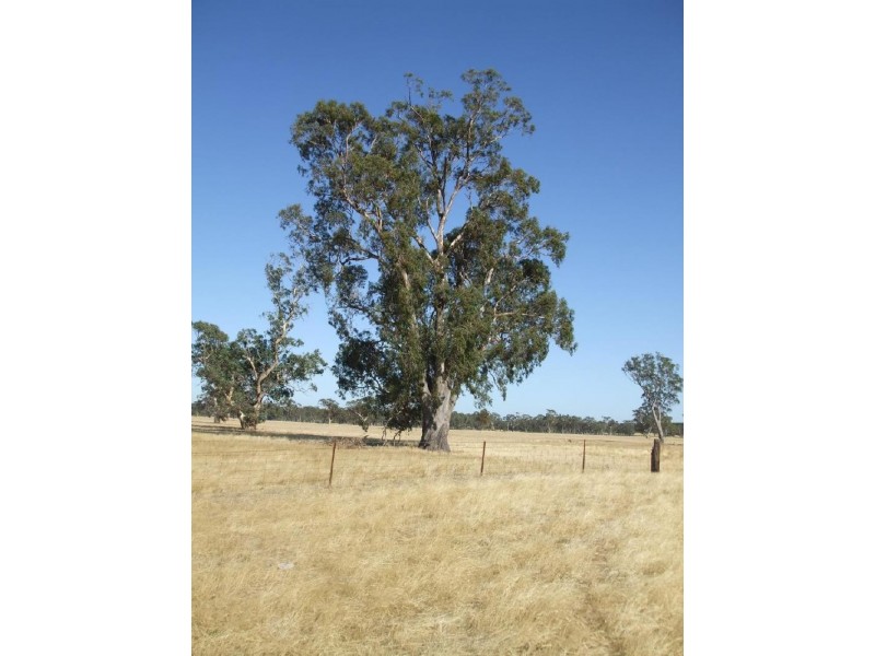 426 Cadell Road, Bordertown SA 5268