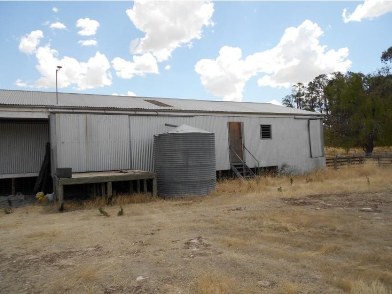 426 Cadell Road, Bordertown SA 5268