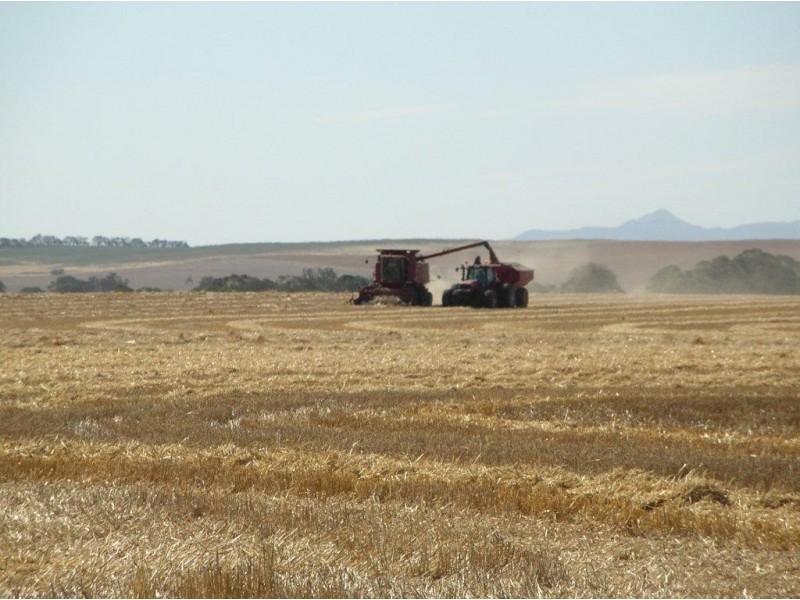 “Nyora”  608 Yarrock Rd, Kaniva VIC 3419