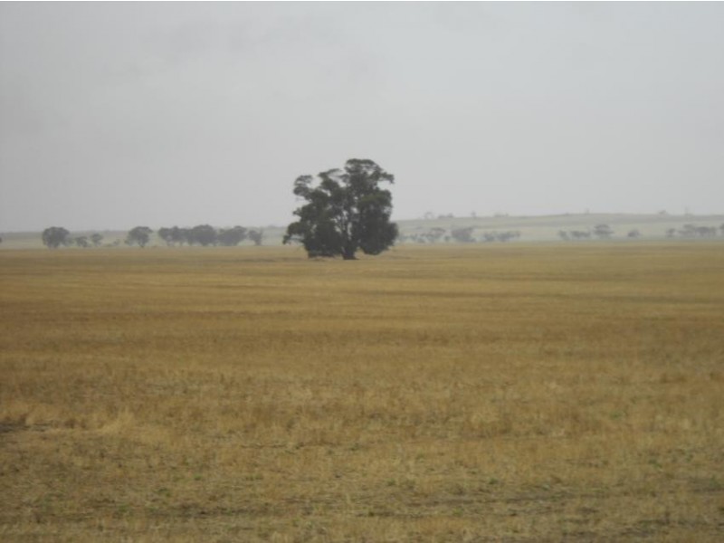 “Nyora”  608 Yarrock Rd, Kaniva VIC 3419