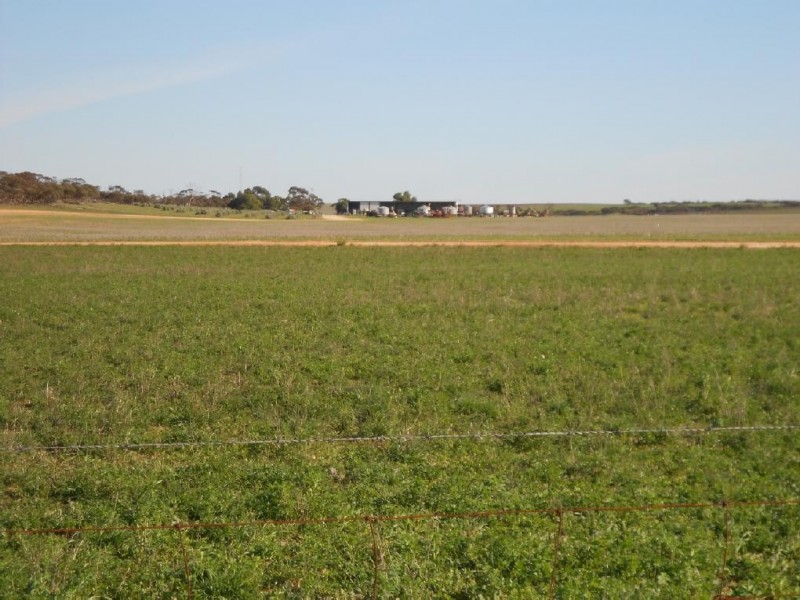 1179 Ngarkat Highway, Pinnaroo SA 5304