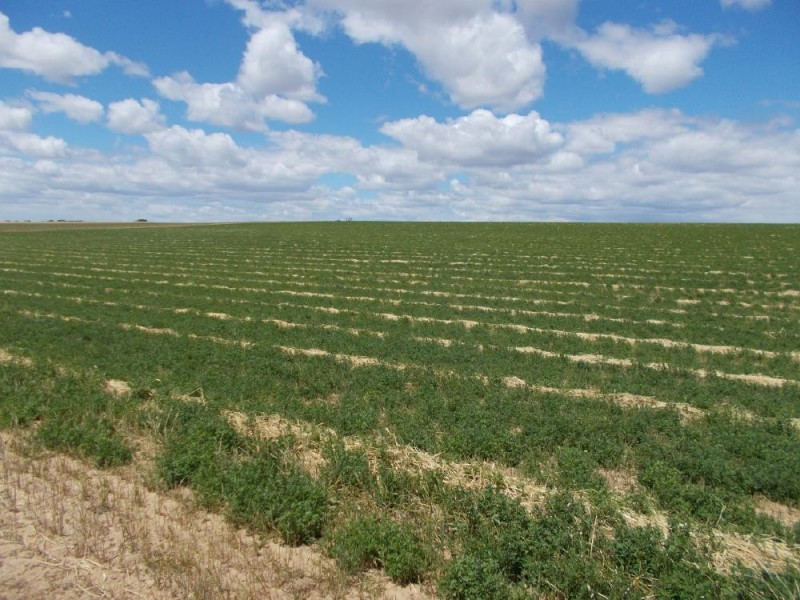 1179 Ngarkat Highway, Pinnaroo SA 5304