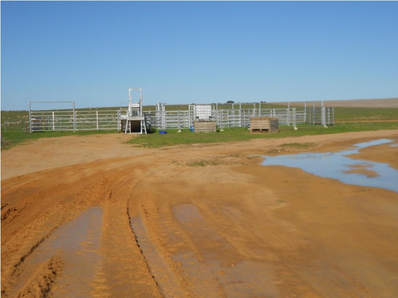 1179 Ngarkat Highway, Pinnaroo SA 5304