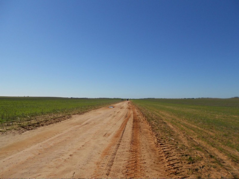 1179 Ngarkat Highway, Pinnaroo SA 5304